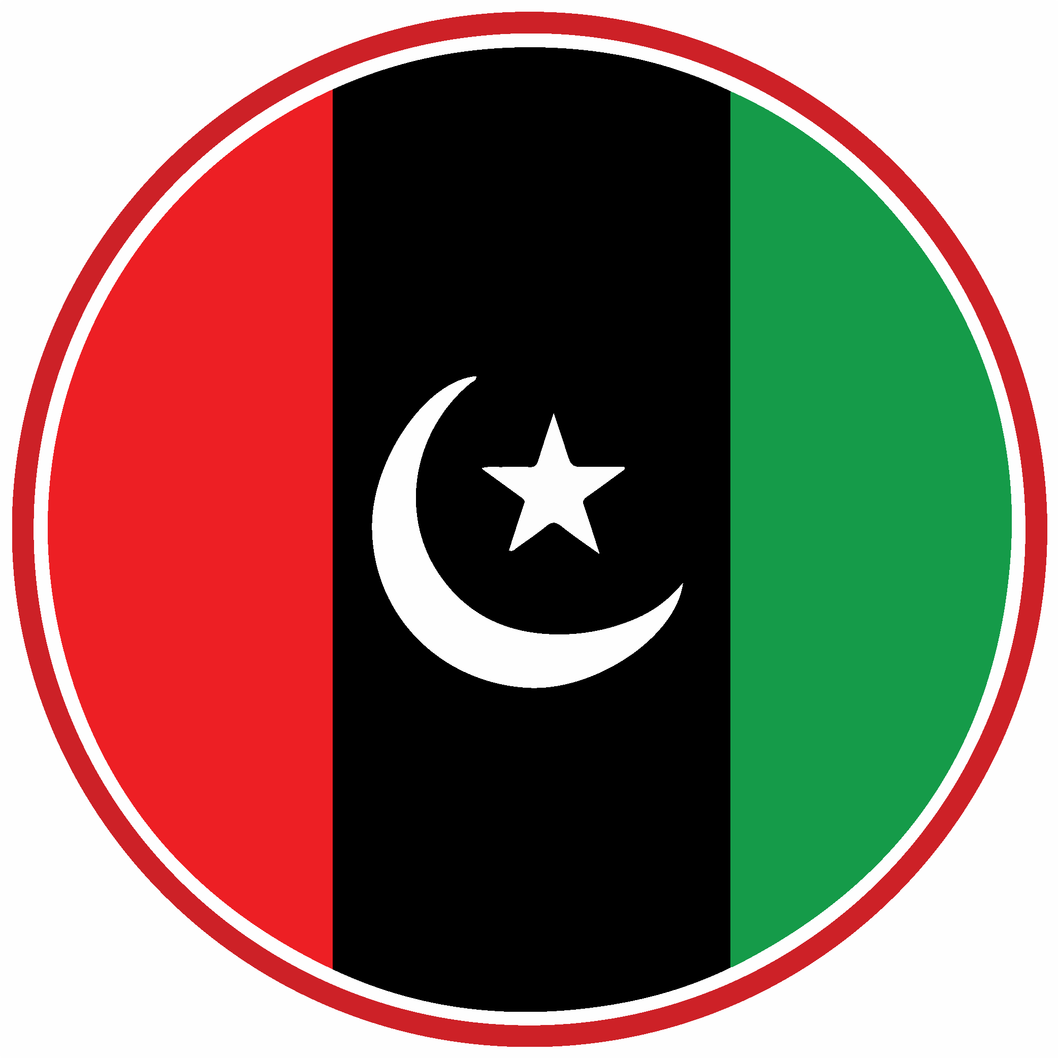 Pakistan Peoples Party Logo